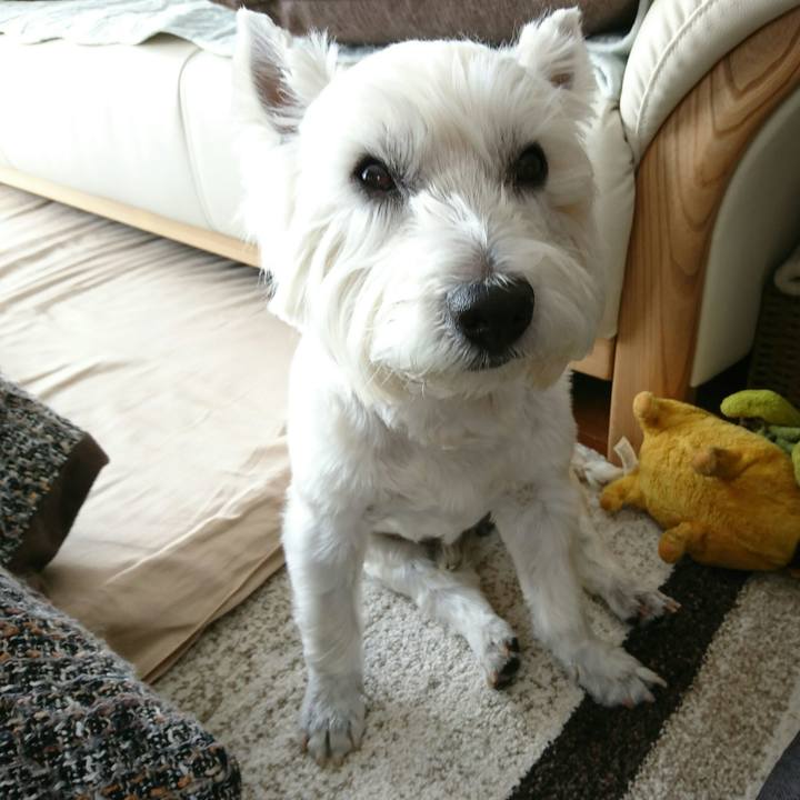 Ebad1e64 688e 4249 922e 5617731e0b0d