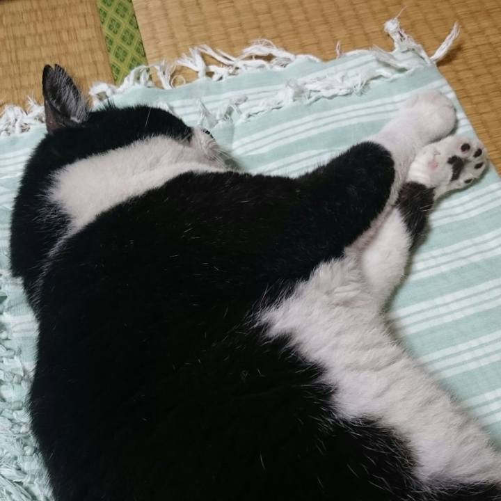 Ebadb29d e95e 4ef5 ac51 7dbcff5157e1