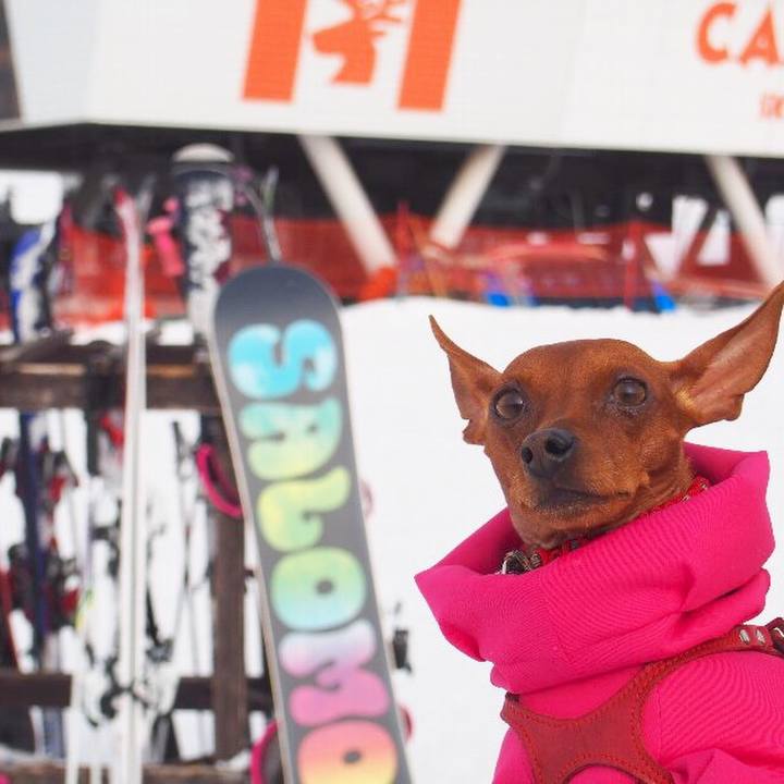 Ebadd7e5 f775 4de4 905b 6e7cba58f7dc