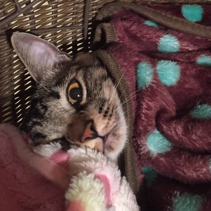 Ebadf5bb 99d0 474c aa6d b4c56ca0764c