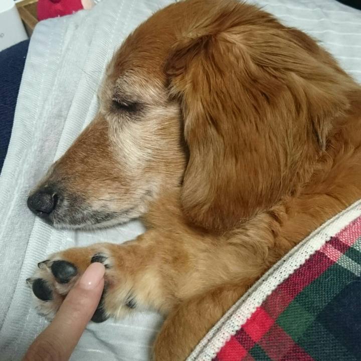 Ebadfc54 e8fa 4550 91d7 900bde187d73