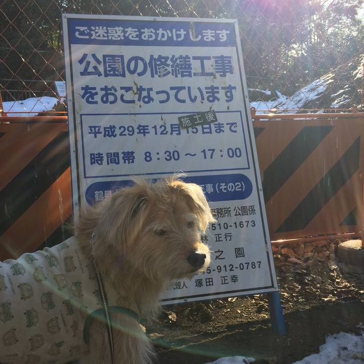 Ebae7b6c fa59 472c b4c8 79975566aa9d