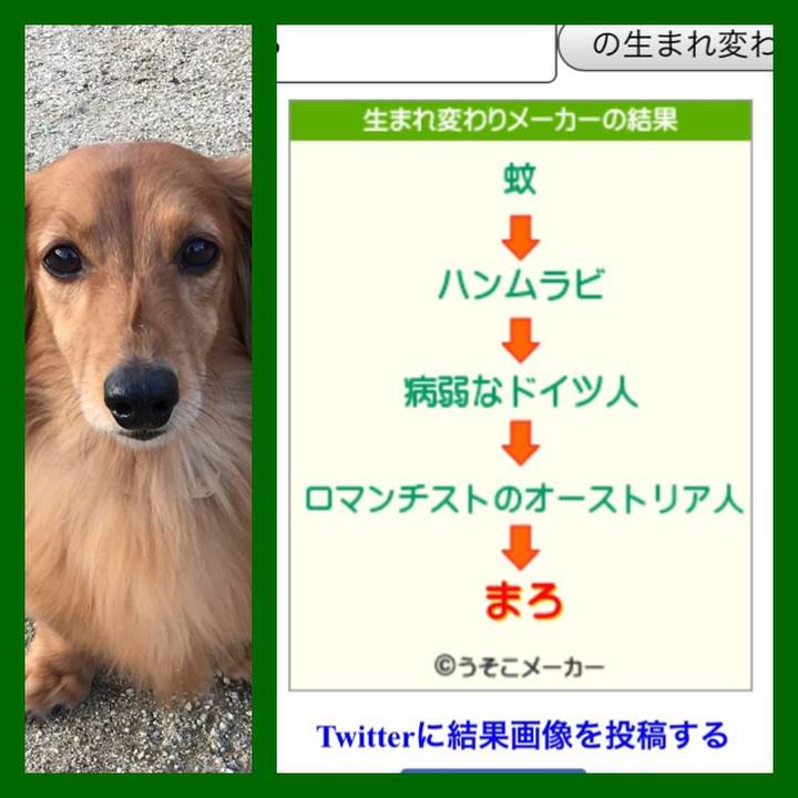 Ebafad62 597a 413c 889c 809a3ec879d5