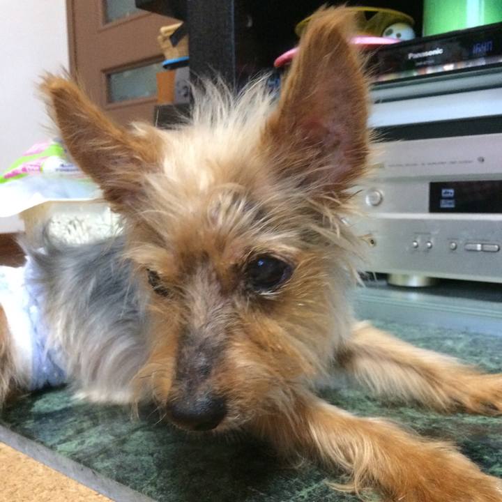 Ebb05ac3 2c65 4229 b677 38a211aa57ef