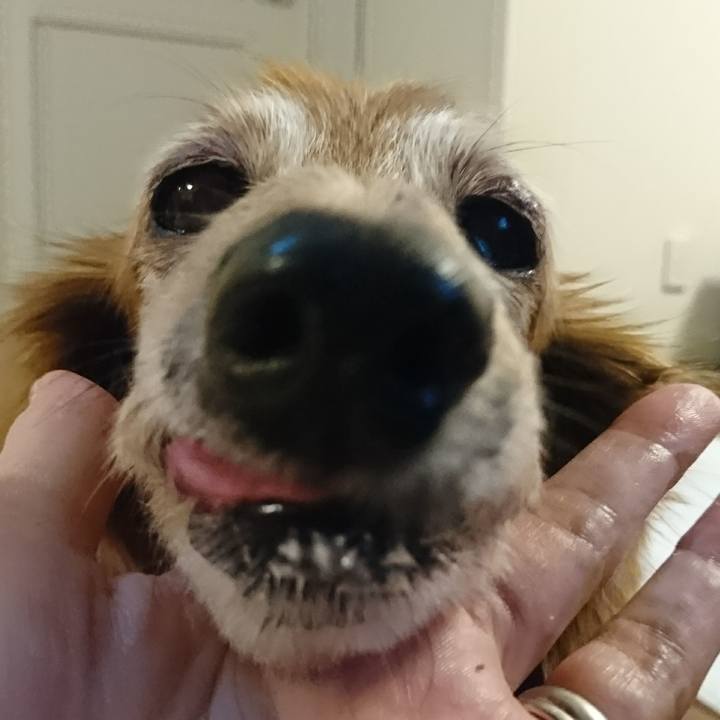 Ebb1df18 bec6 4b24 bff8 3e77cf61b05d