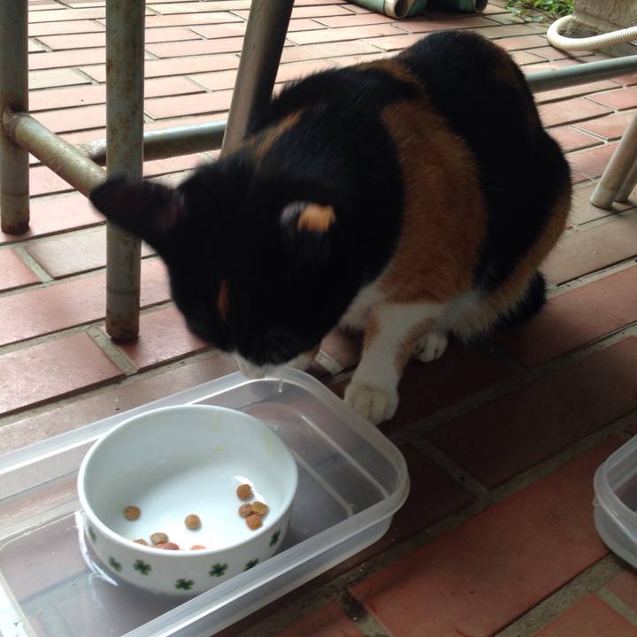 Ebb20fbe e3d2 4785 89ab 481fb9a6fbab