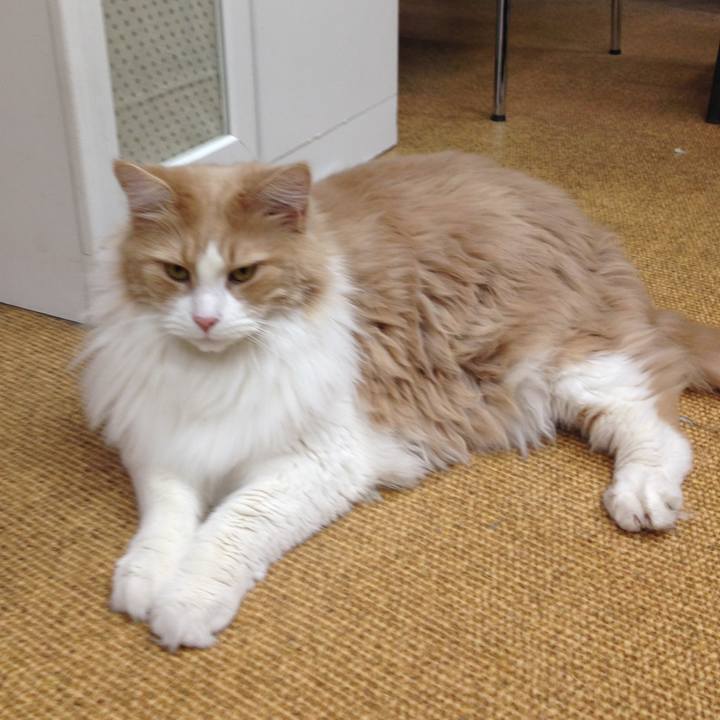 Ebb2545d cc4c 416f b844 2da09c4766c8