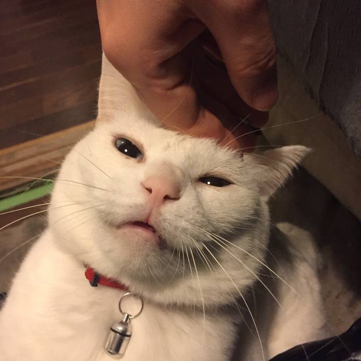 Ebb297e3 bc00 4ae4 a5ce 01ca821a69b3