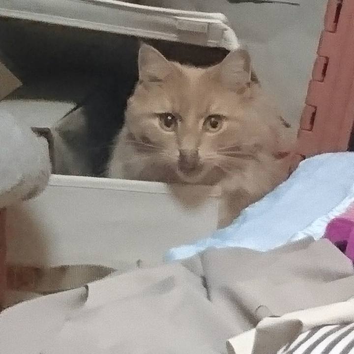 Ebb2bcb9 e7c9 428f 8f94 c93e8d5c4610