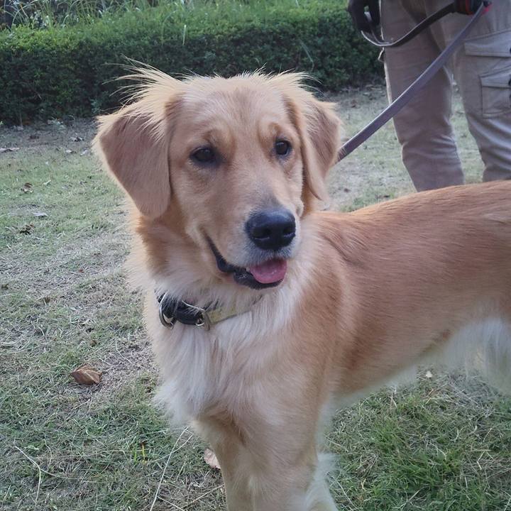 Ebb2de2b d901 4645 a2c1 ea4781c9ba6f