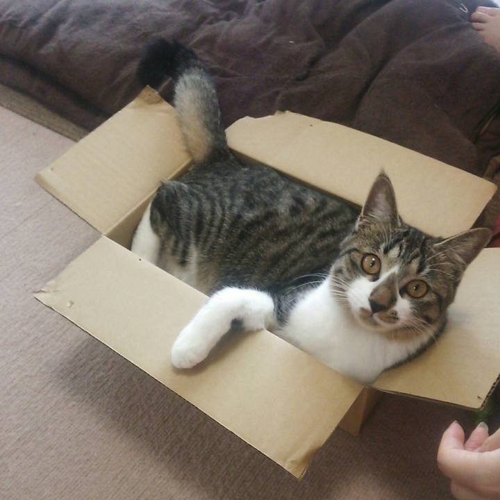 Ebb37bf6 585d 4166 96a9 ac1569c0544b