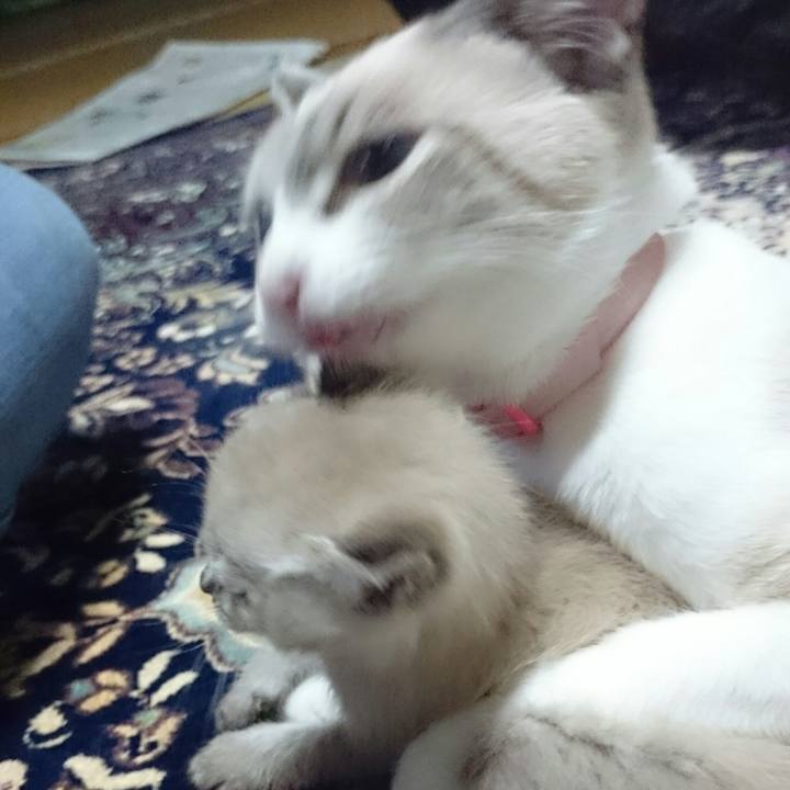 Ebb4231c b04a 497b aa2d 5cd187093aad