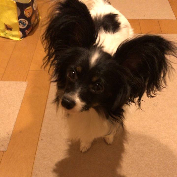 Ebb4ee88 2a6a 4703 bd76 04fcebb32e09