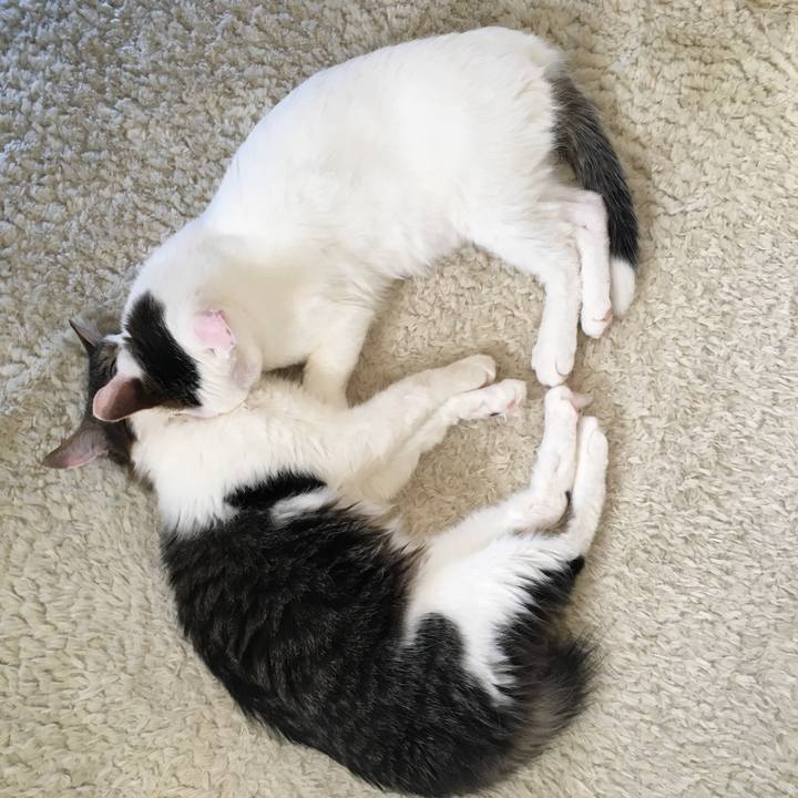 Ebb597d1 74e1 4606 9619 8b567cf153d4