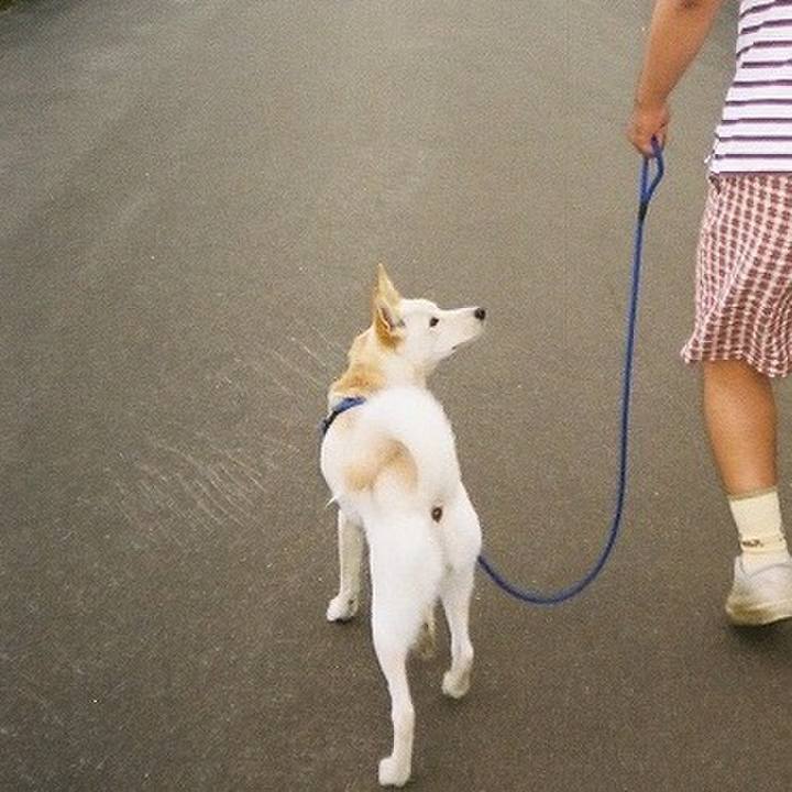 Ebb6c310 a98c 4cbb 8ca6 a859f0119a32