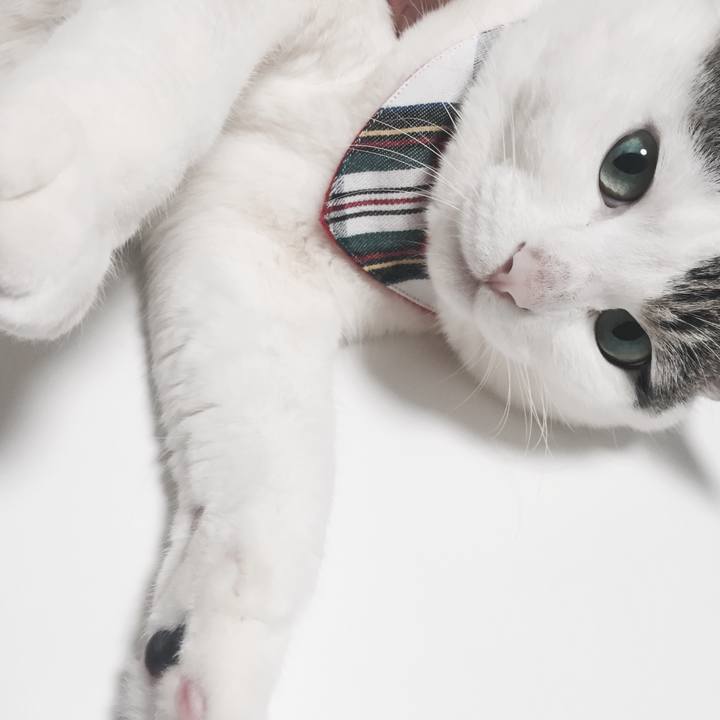 Ebb6dfca fa79 44a5 b157 a2a91ea06a2b