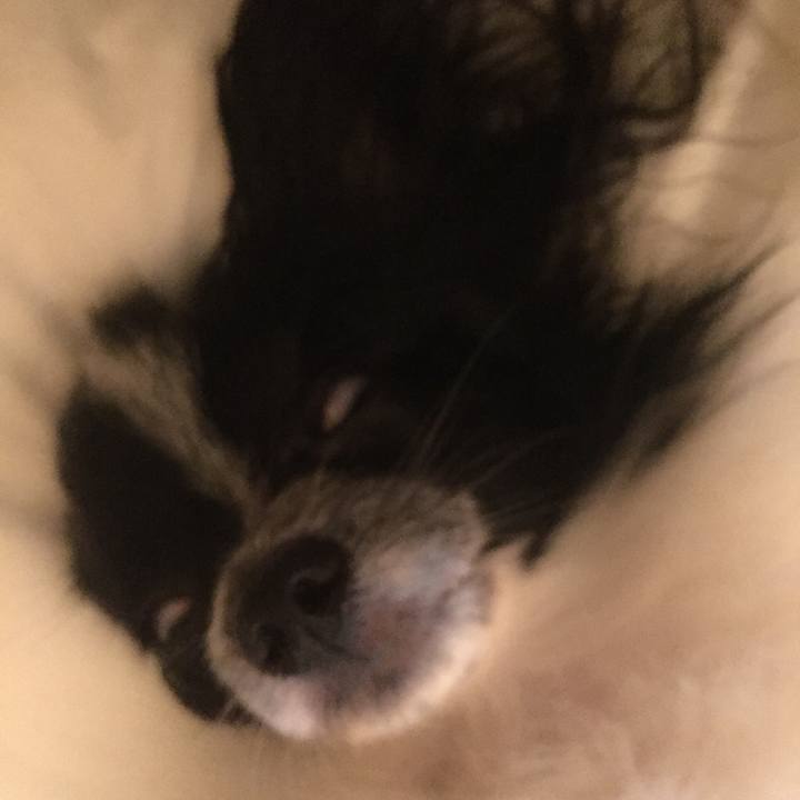 Ebb82aad bff0 43d8 bcfa 811f0c72986e