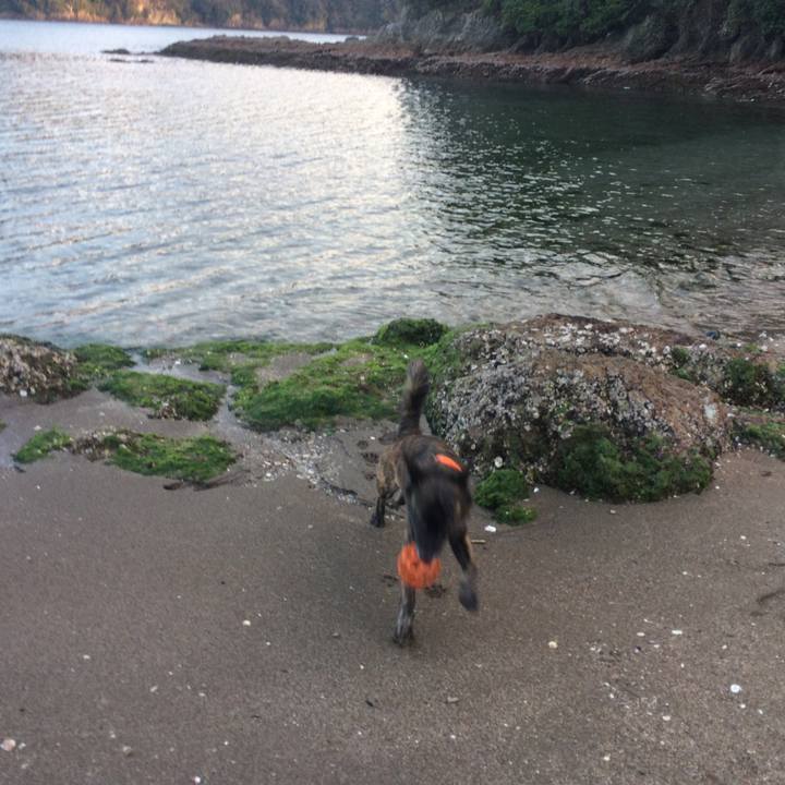 Ebb8a22d d92c 40d3 b12a 8872cf186639