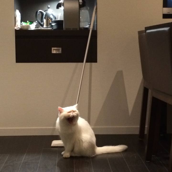 Ebb9519d 9925 4e91 80ea c8465cb20627