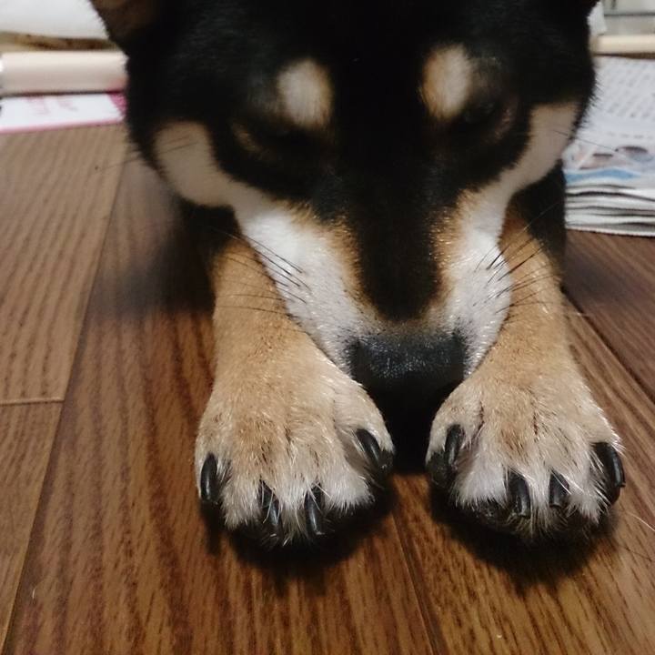 Ebb952ce 8b01 47ec 8d5b 0288785db6cc