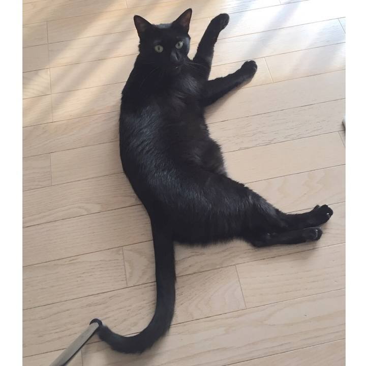 Ebba1b04 1d8c 481f aca5 6b89432e8da7