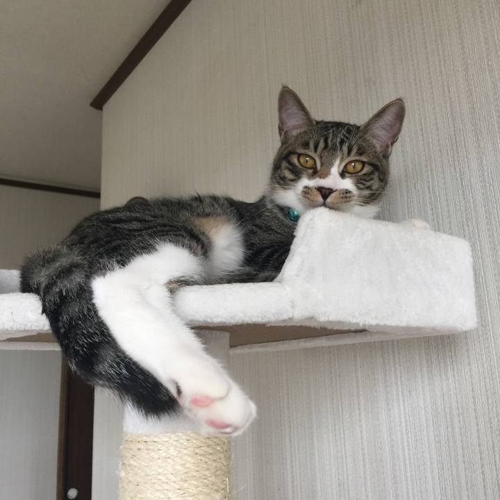 Ebba1e3c 969a 44e5 a4e9 0a6371165af8