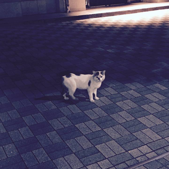 Ebba6ac3 e4e9 4616 b7e4 9036887202a5