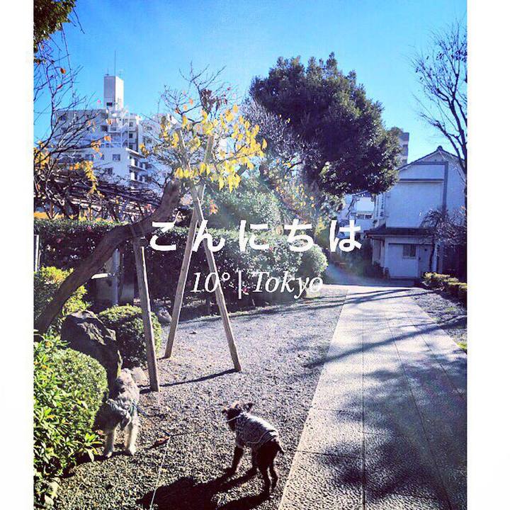 Ebba9524 4ccb 4454 afdf 379ec164d000