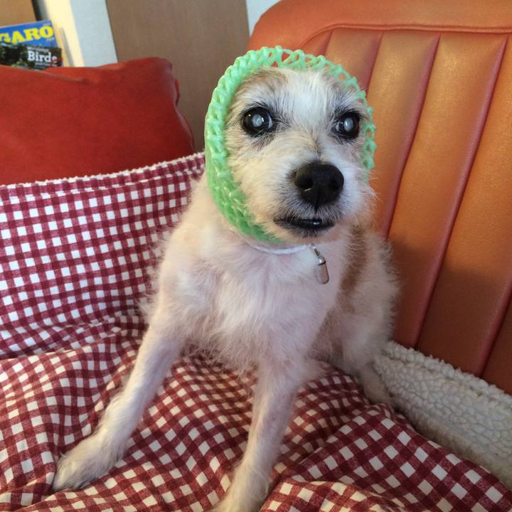 Ebbaabc6 542a 4d5f 9d1a fa09a8e0debe