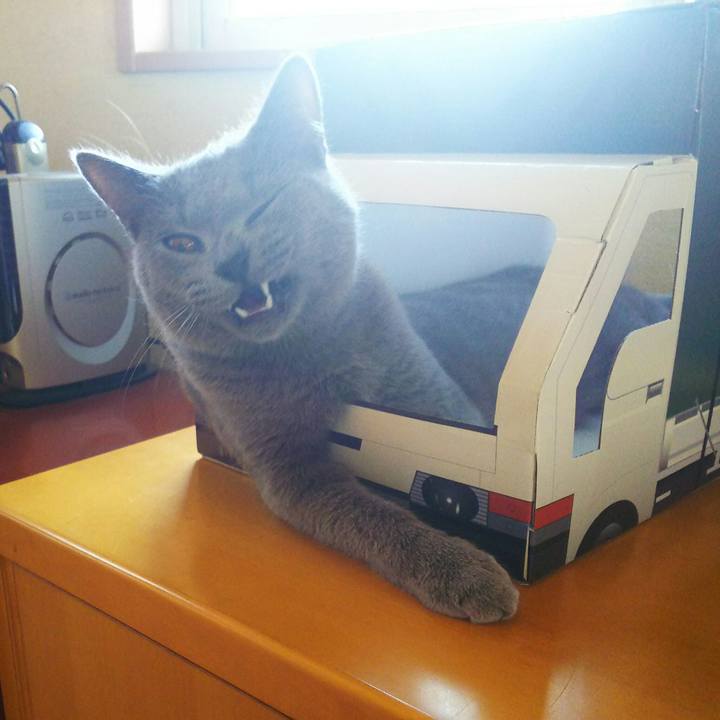 Ebbad9a3 f608 4f48 bcc4 e3f3ab577487