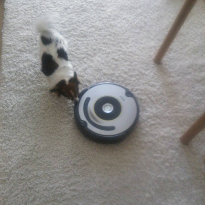 Ebbadc95 700e 44c0 b124 07d4aec77e95