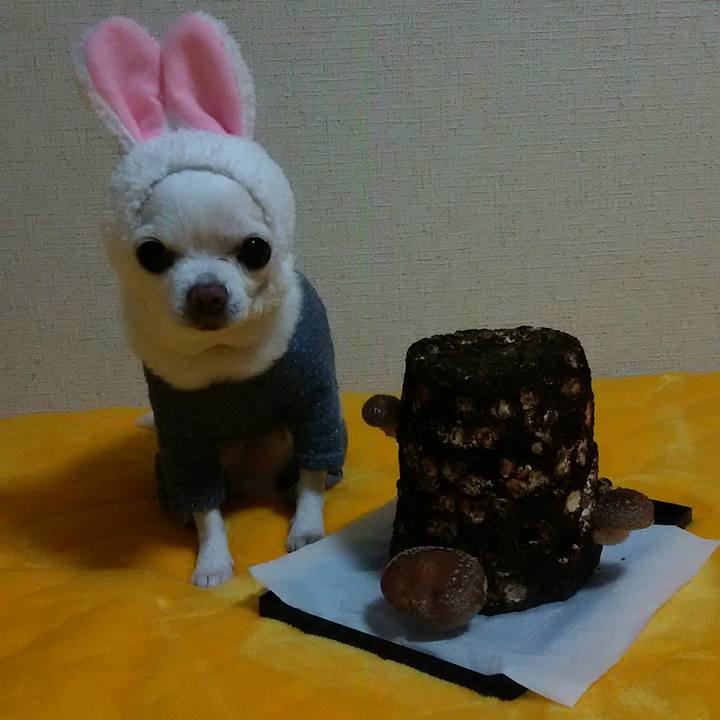 Ebbb43bd e258 4f73 a88e ee6d4abf9841