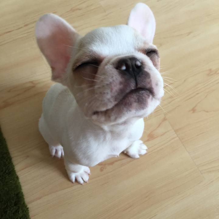 Ebbb5032 bc8d 46af b1a6 390ec0bd8bce