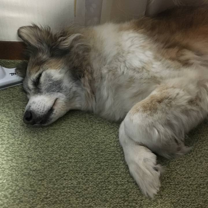 Ebbb932e ae80 459f 9bcb 18dc6efba835