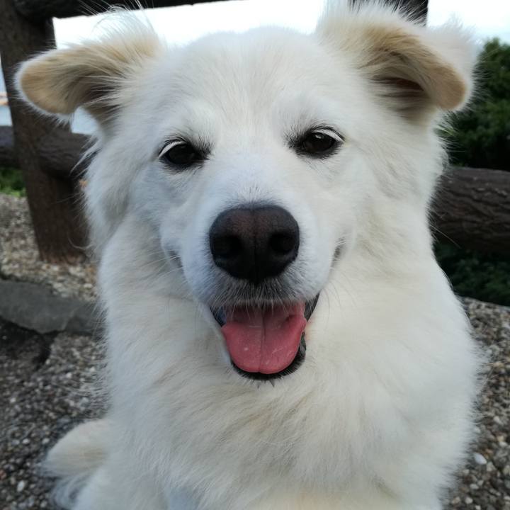 Ebbd0ac3 2f0d 4c43 94aa 042af92af4b7