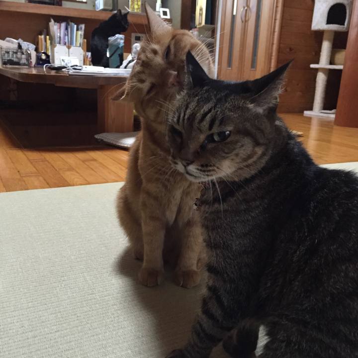 Ebbd0bfe ee0e 4028 adf1 e49c8a3e64a6