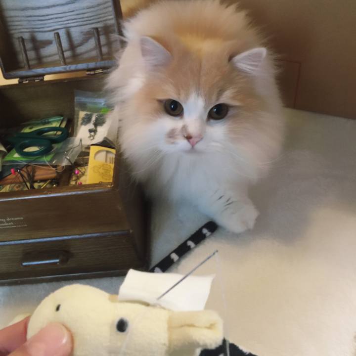 Ebbd35fa b0c4 4403 b562 610c75d6cabf