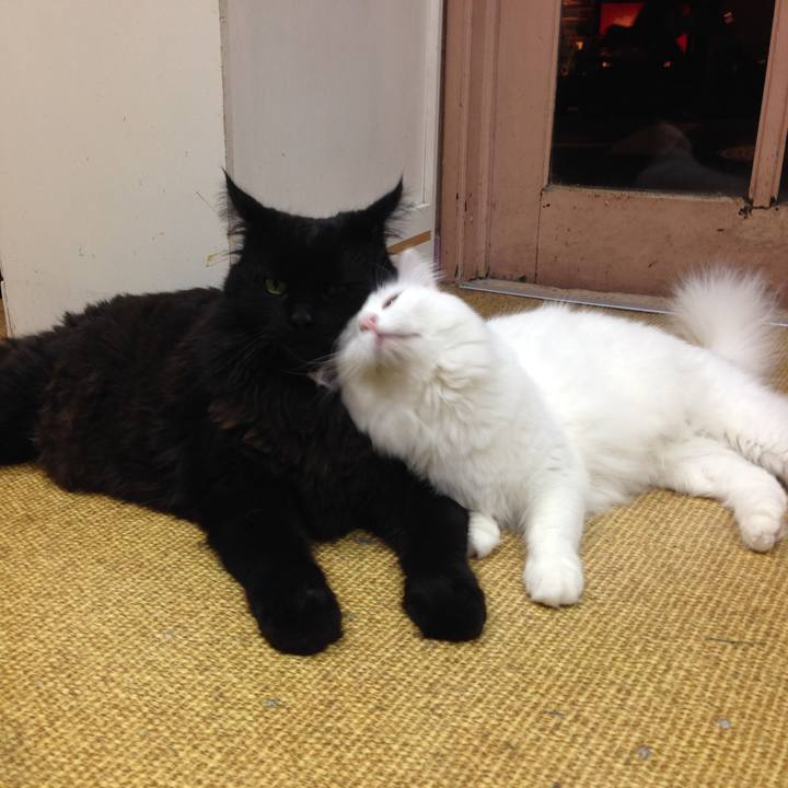 Ebbd4ce0 6b7c 49ee a707 d8ec97ef29c7