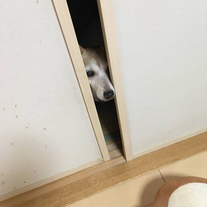 Ebbe3e54 897d 4586 b705 bdd537684e97