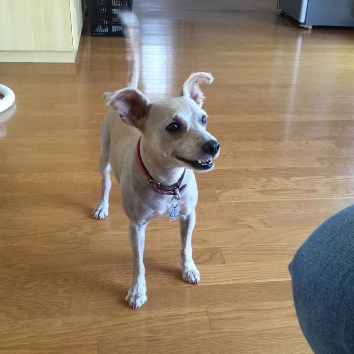 Ebbe9c37 c18a 42c8 bc4c 91930728c97c