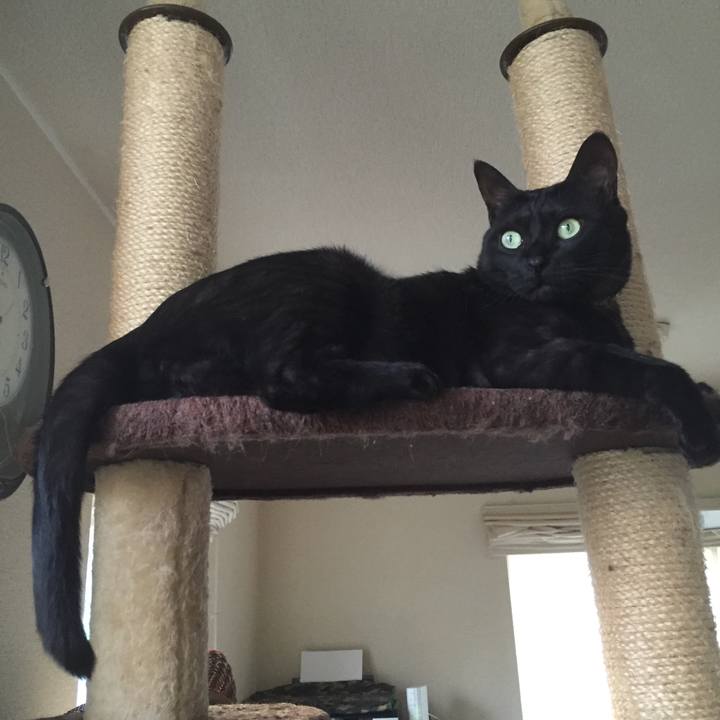 Ebbecbab ec29 4bc9 9732 ebf4176765ed