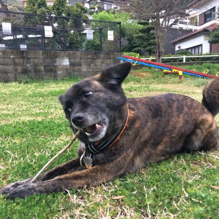 Ebbf0a84 d1d5 4461 bd22 3097fd9a6b45