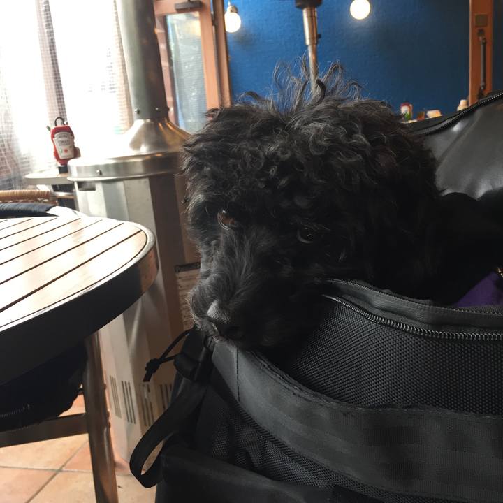 Ebbf725b 1541 40af 9c27 7e5892558e93