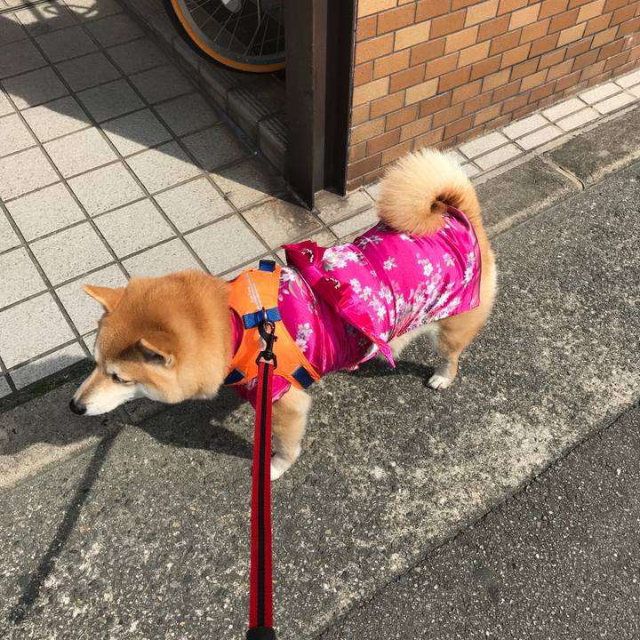 Ebbfcc7f 19d3 4155 9b0d 48214b93f6ed