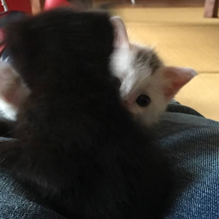 Ebc06949 7333 4e79 91f7 4396bb8c0a2e