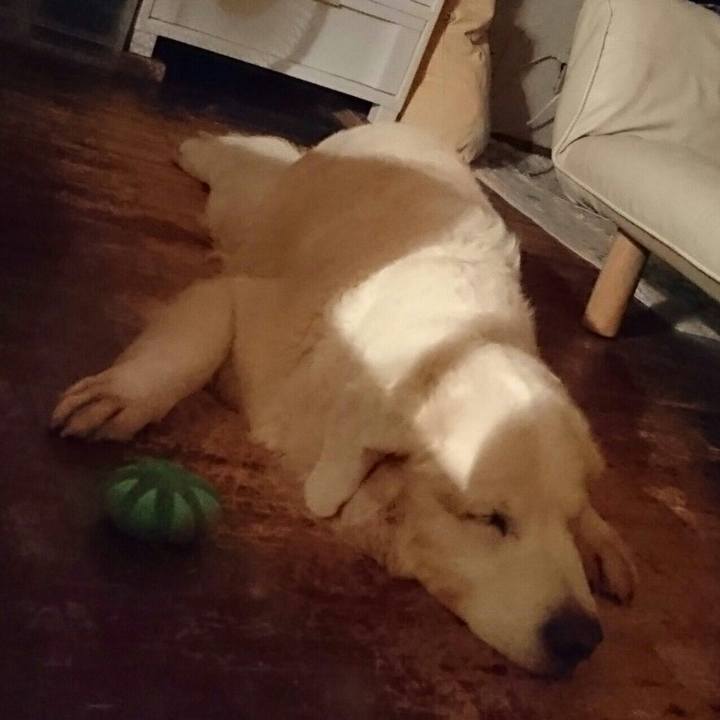 Ebc07862 62a0 4856 b605 89eaa15de18f