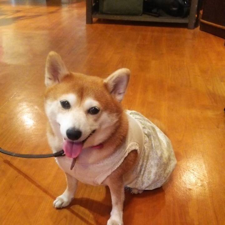 Ebc07d32 d58e 4a1c bf6e 9b4866806049