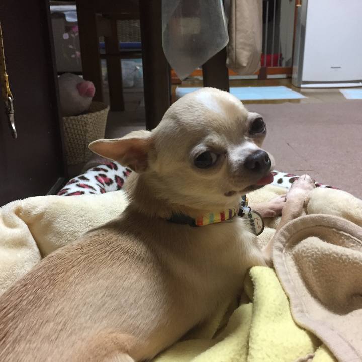 Ebc0b60a 2efd 42c5 a0f6 e1ea2aea797c