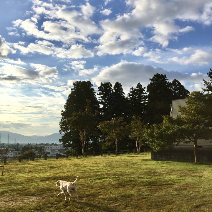 Ebc0f52d 4f63 4233 bf40 731008a6d243