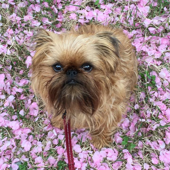 Ebc1099f becc 4dd3 8453 d004ecafb9bc